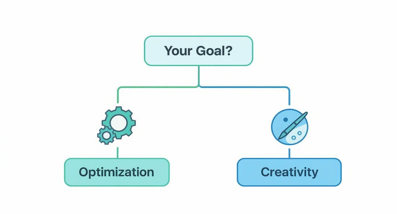 Infographic decision tree comparing resume tools based on user goals of optimisation versus creativity