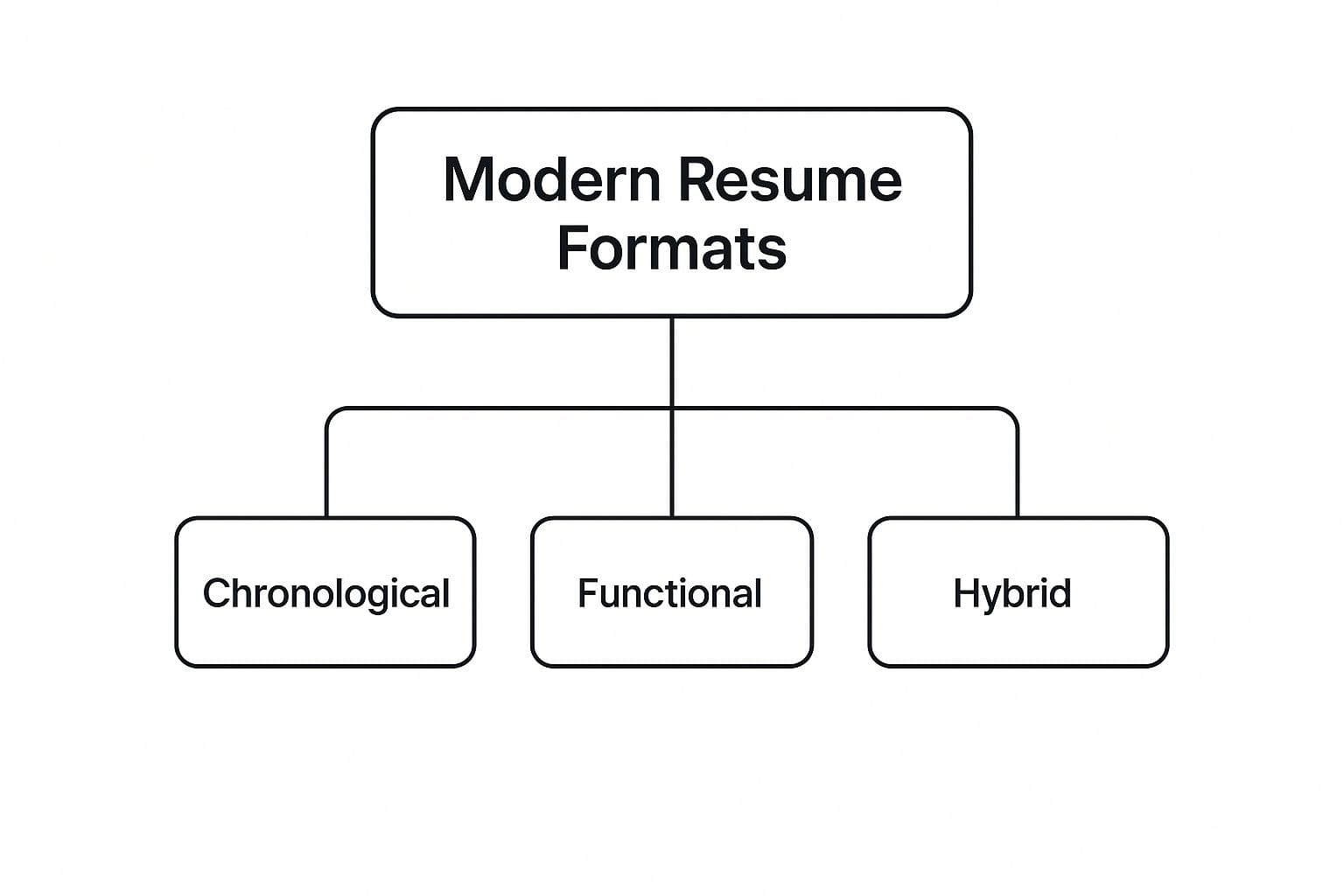 Modern resume format showing clean layout and professional design